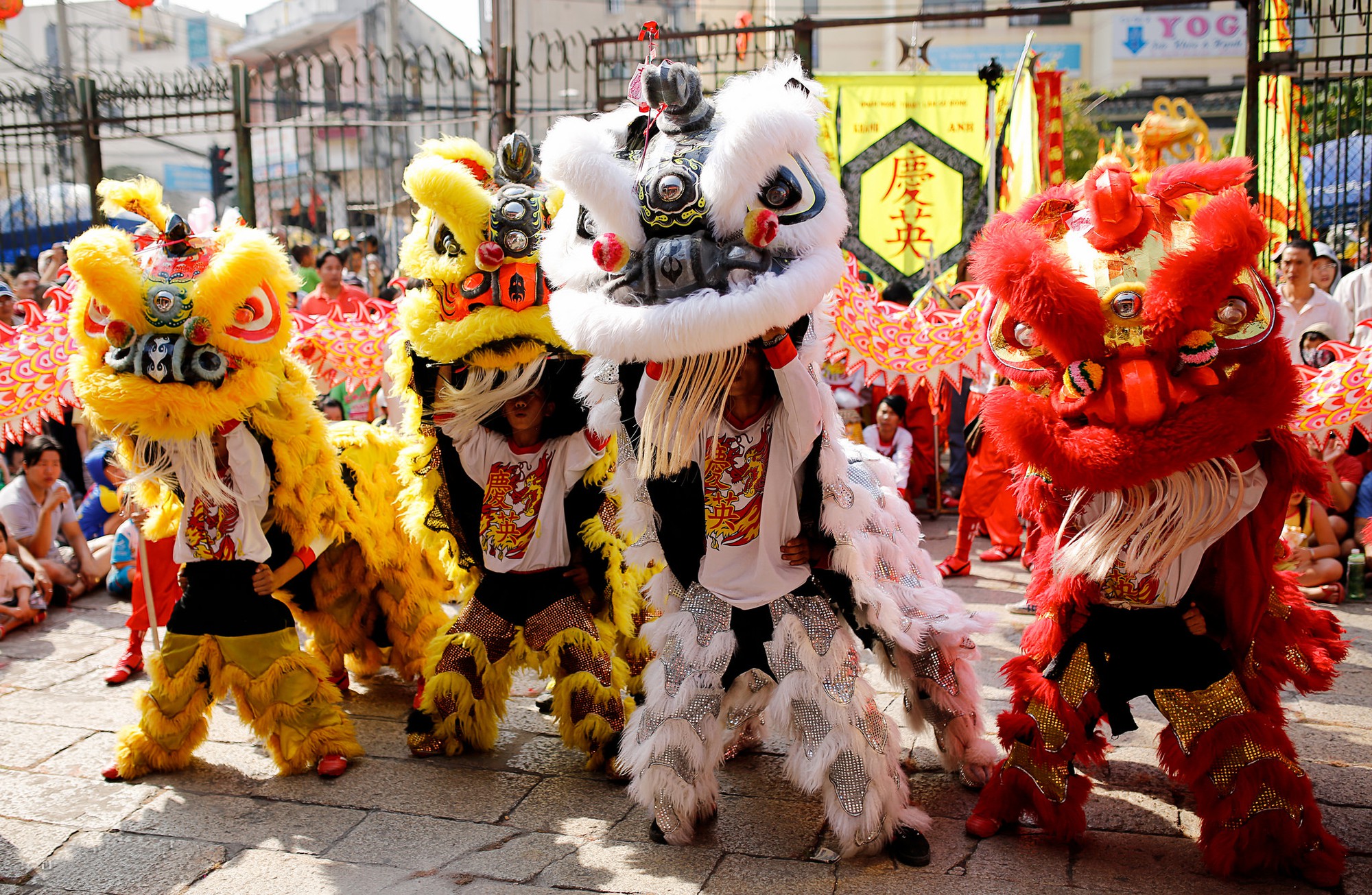Lân - Sư - Rồng xuống phố - Ảnh 7.