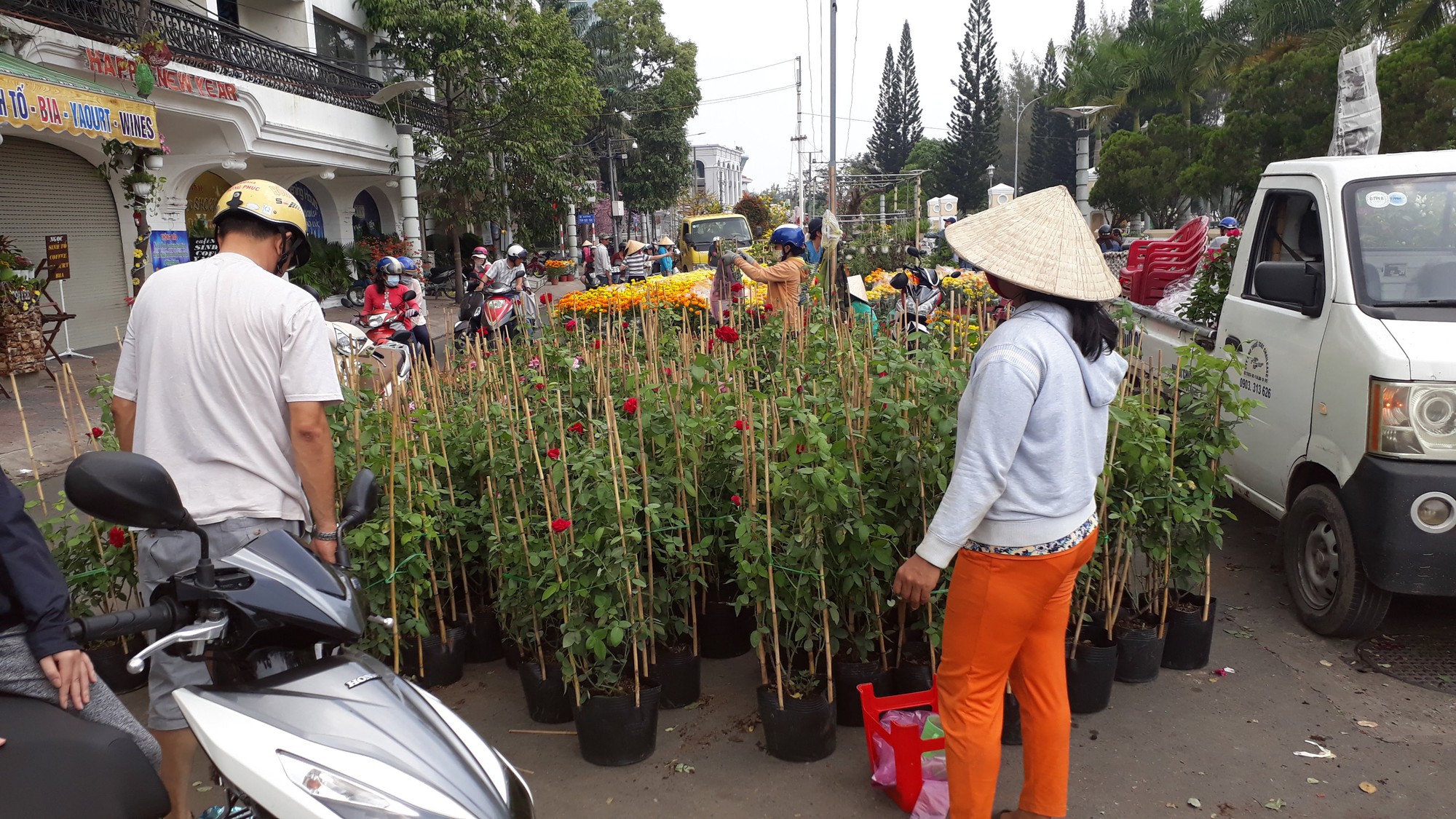 Người b&aacute;n hoa kiểng ở miền T&acirc;y th&agrave; chở về chứ kh&ocirc;ng b&aacute;n rẻ như cho - Ảnh 3.