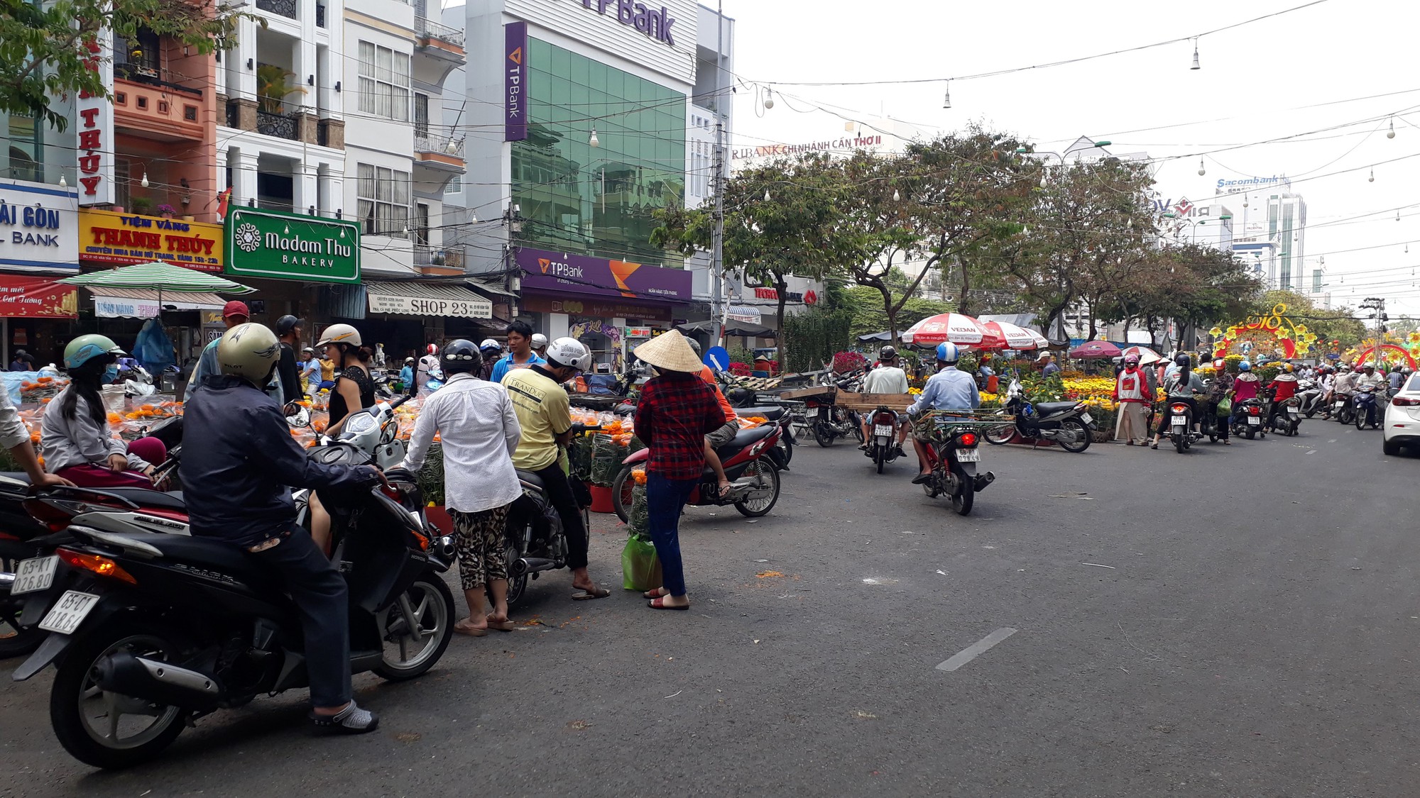 Người b&aacute;n hoa kiểng ở miền T&acirc;y th&agrave; chở về chứ kh&ocirc;ng b&aacute;n rẻ như cho - Ảnh 10.