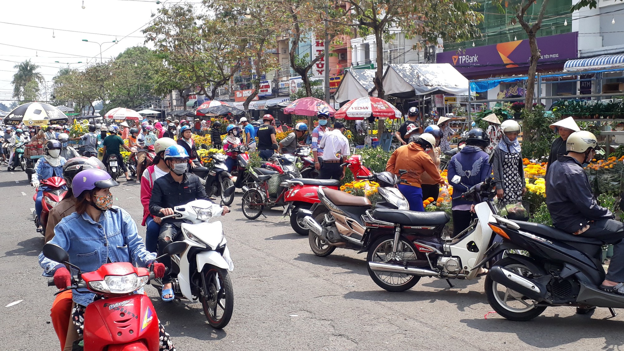 Người b&aacute;n hoa kiểng ở miền T&acirc;y th&agrave; chở về chứ kh&ocirc;ng b&aacute;n rẻ như cho - Ảnh 11.