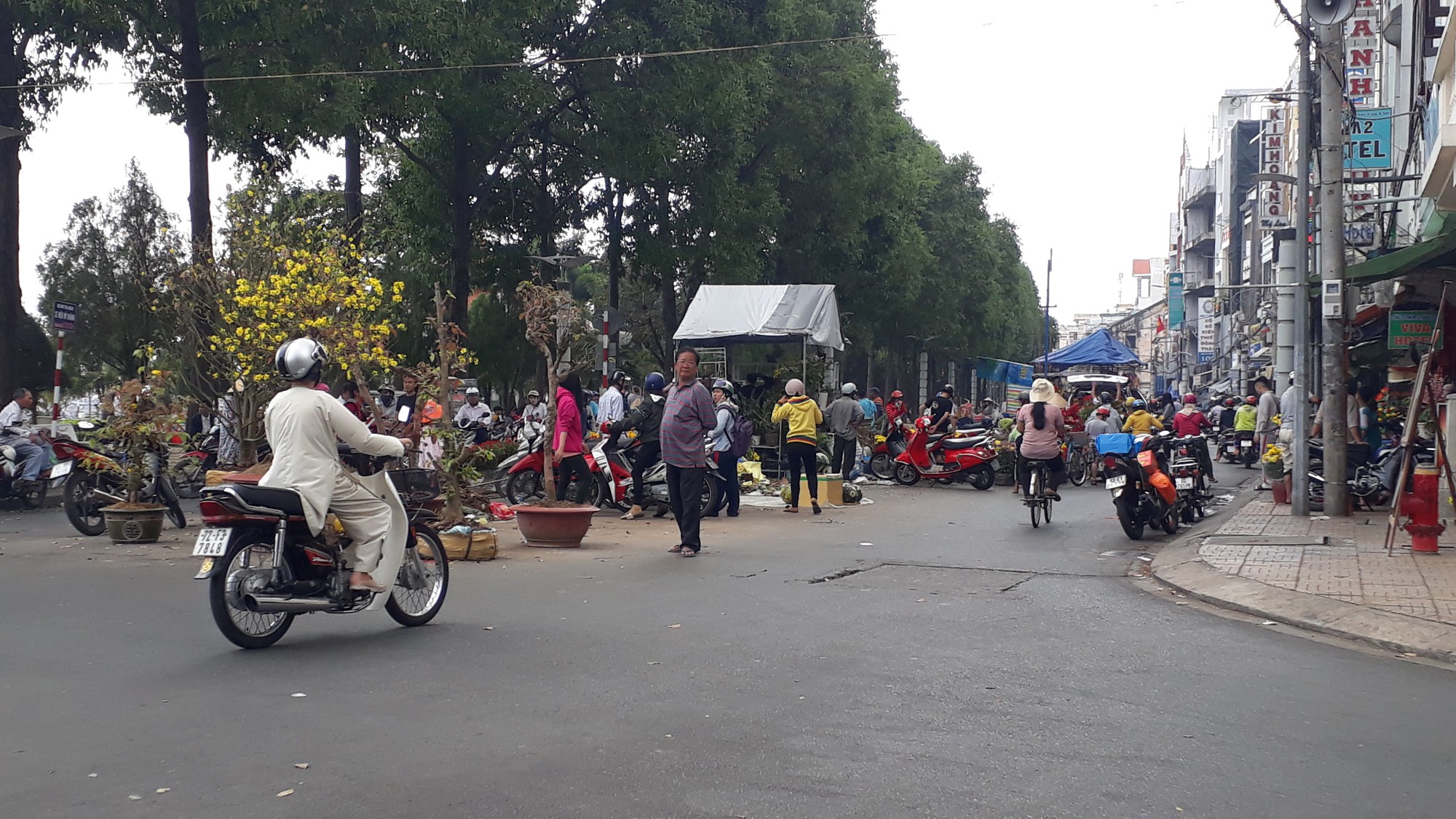 Người b&aacute;n hoa kiểng ở miền T&acirc;y th&agrave; chở về chứ kh&ocirc;ng b&aacute;n rẻ như cho - Ảnh 6.