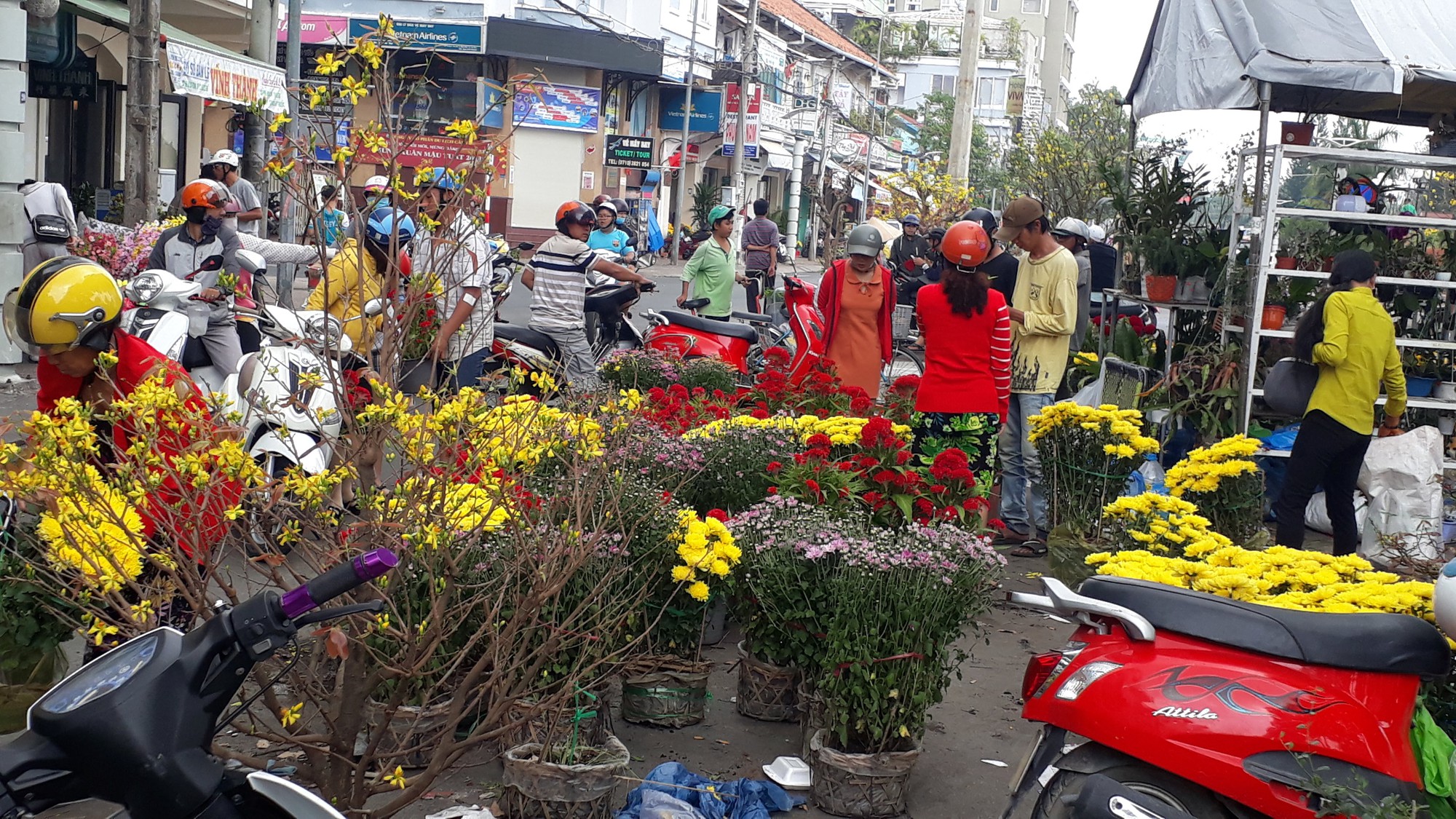 Người b&aacute;n hoa kiểng ở miền T&acirc;y th&agrave; chở về chứ kh&ocirc;ng b&aacute;n rẻ như cho - Ảnh 4.