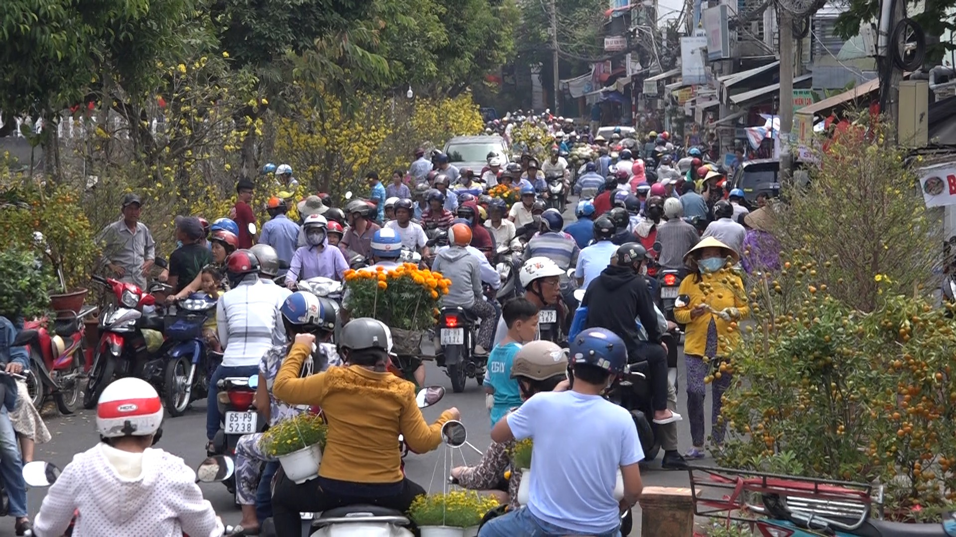 Người b&aacute;n hoa kiểng ở miền T&acirc;y th&agrave; chở về chứ kh&ocirc;ng b&aacute;n rẻ như cho - Ảnh 2.
