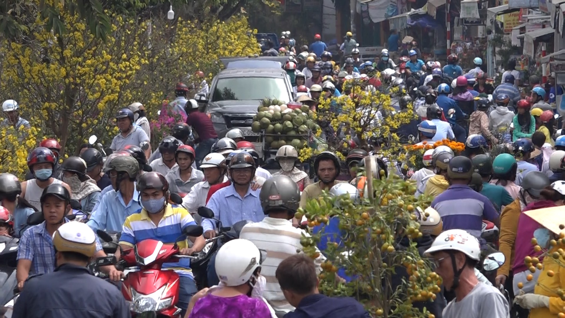 Người b&aacute;n hoa kiểng ở miền T&acirc;y th&agrave; chở về chứ kh&ocirc;ng b&aacute;n rẻ như cho - Ảnh 1.
