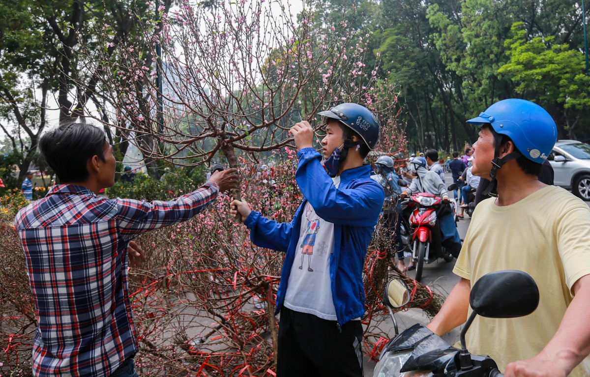 Hoa Tết dội chợ, chất như núi ở chợ hoa sỉ Đầm Sen, TP HCM - Ảnh 21.