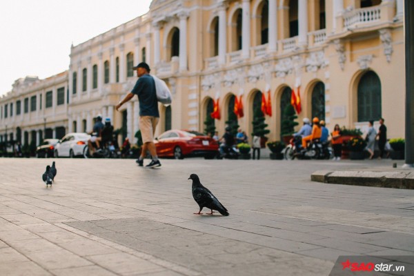 Không ồn ào vội vã, Sài Gòn - Hà Nội được trả lại vẻ yên bình trong ngày mùng 1 Tết