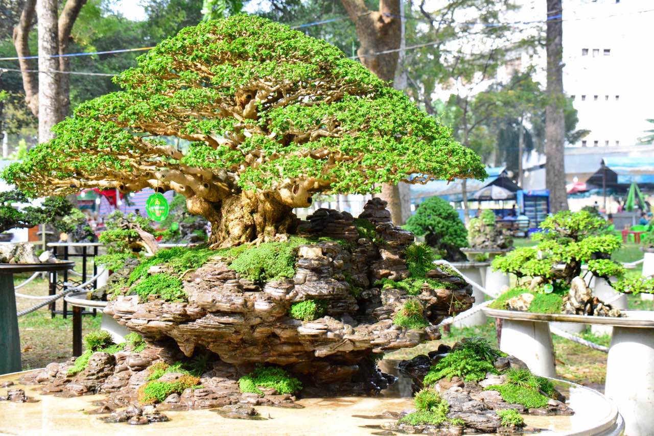 N&ocirc; nức trẩy Hội Hoa Xu&acirc;n - Ảnh 20.