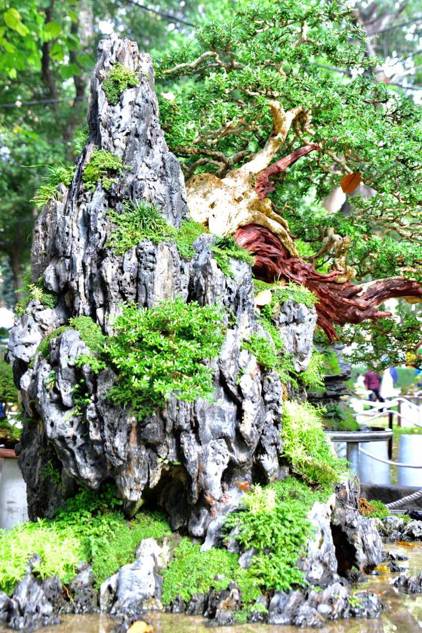 N&ocirc; nức trẩy Hội Hoa Xu&acirc;n - Ảnh 17.