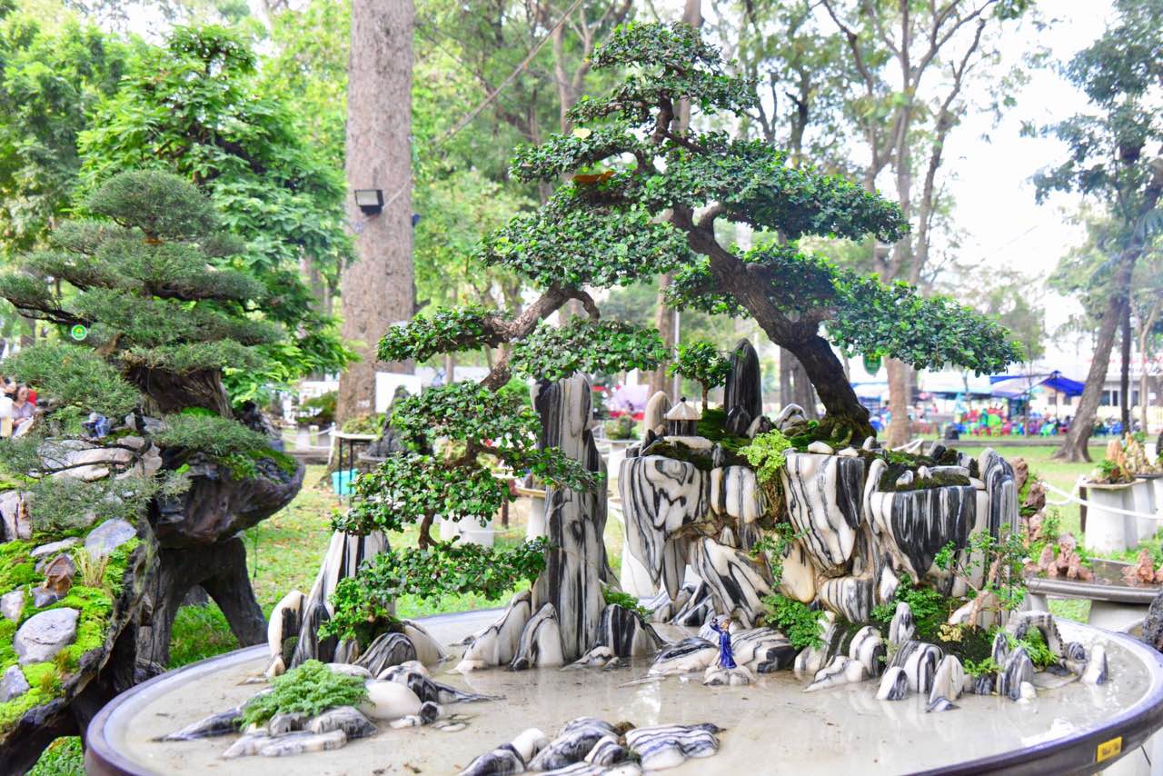 N&ocirc; nức trẩy Hội Hoa Xu&acirc;n - Ảnh 14.