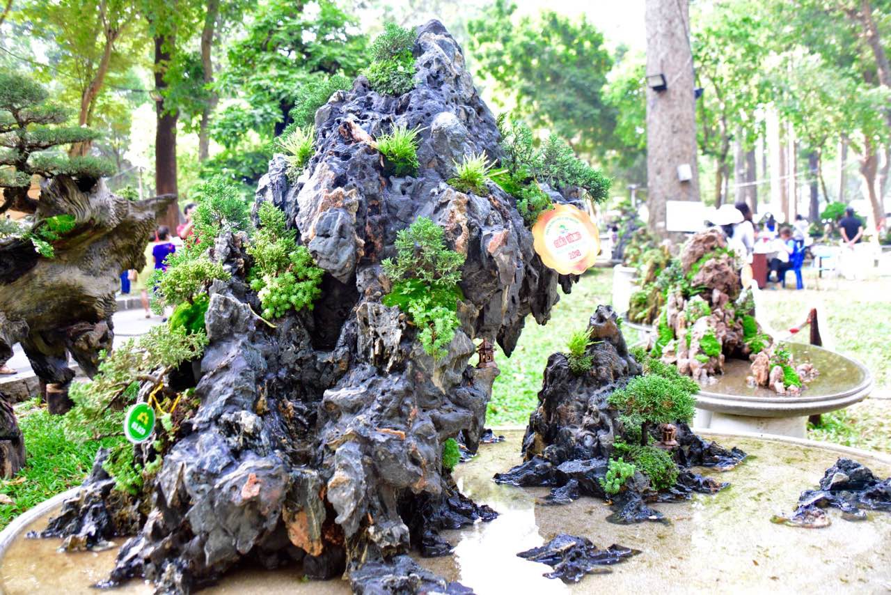 N&ocirc; nức trẩy Hội Hoa Xu&acirc;n - Ảnh 15.