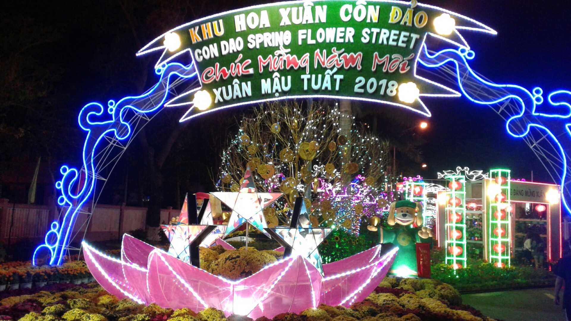 Ngắm đường hoa Xuân “hải sản” đặc sắc ở Côn Đảo - Ảnh 1.