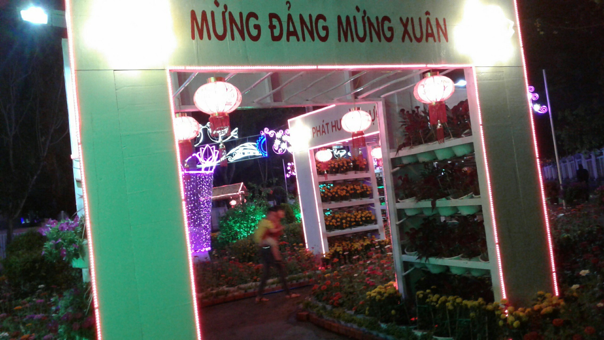 Ngắm đường hoa Xuân “hải sản” đặc sắc ở Côn Đảo - Ảnh 17.