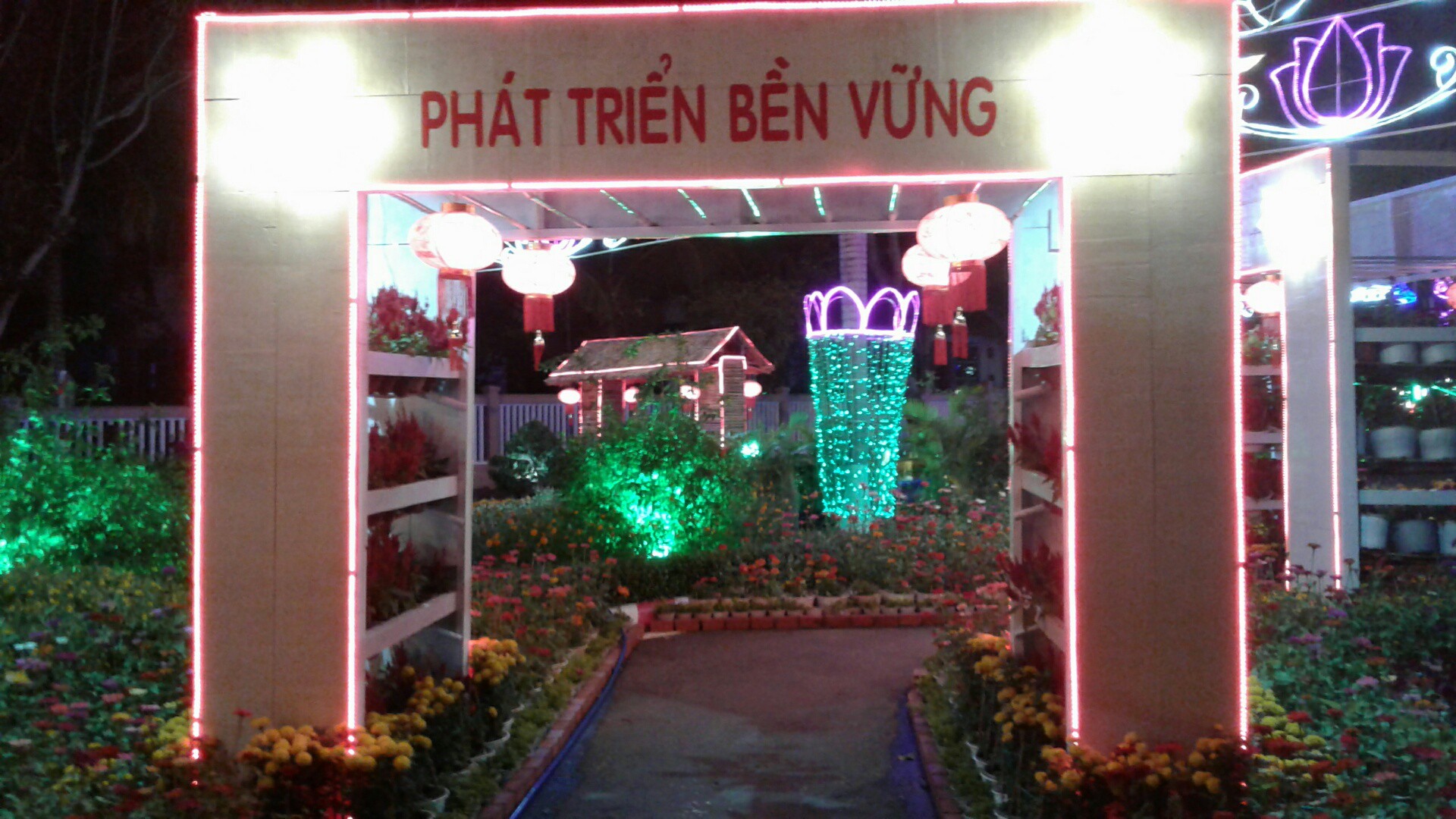 Ngắm đường hoa Xuân “hải sản” đặc sắc ở Côn Đảo - Ảnh 19.