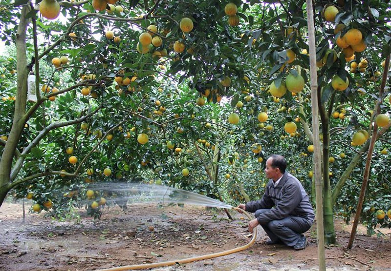 Chia nhau 3.000 tỷ: Cả l&agrave;ng x&acirc;y nh&agrave; lầu, sắm &ocirc; t&ocirc; - Ảnh 2.