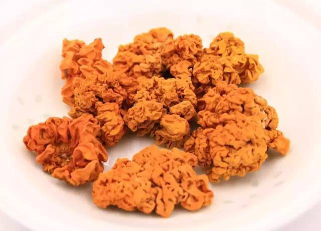 Kỳ lạ giống mộc nhĩ vàng, giá 6,5 triệu đồng/kg - Ảnh 3.