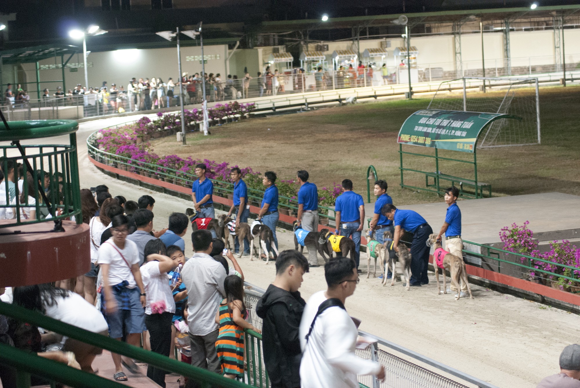 Đầu năm Mậu Tuất đi xem đua ch&oacute; - Ảnh 7.