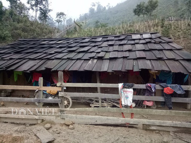 Ng&ocirc;i l&agrave;ng 100% hộ ngh&egrave;o nhưng nh&agrave; n&agrave;o cũng l&agrave;m bằng gỗ qu&yacute; pơmu - Ảnh 2.