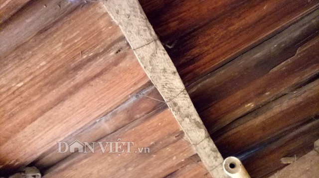 Ng&ocirc;i l&agrave;ng 100% hộ ngh&egrave;o nhưng nh&agrave; n&agrave;o cũng l&agrave;m bằng gỗ qu&yacute; pơmu - Ảnh 4.