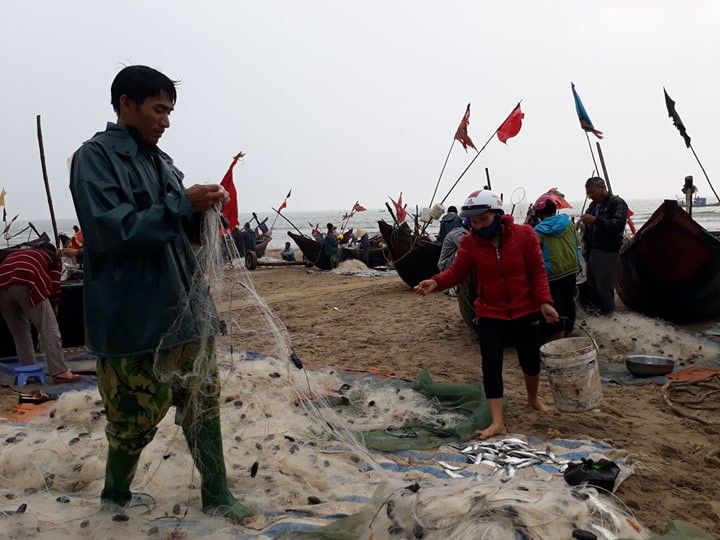 Ngư d&acirc;n Sầm Sơn tr&uacute;ng đậm &ldquo;lộc biển&rdquo; ng&agrave;y đầu năm mới - Ảnh 4.