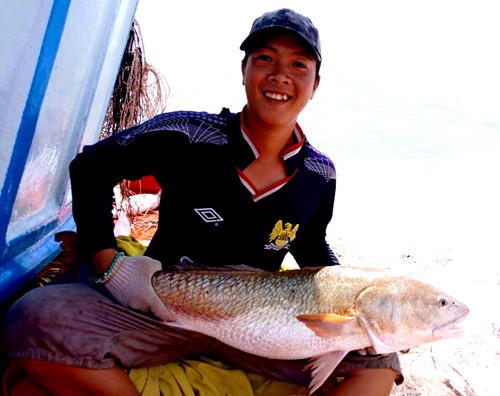 C&aacute; 6 kg nghi sủ v&agrave;ng qu&yacute; hiếm ở miền T&acirc;y - Ảnh 1.