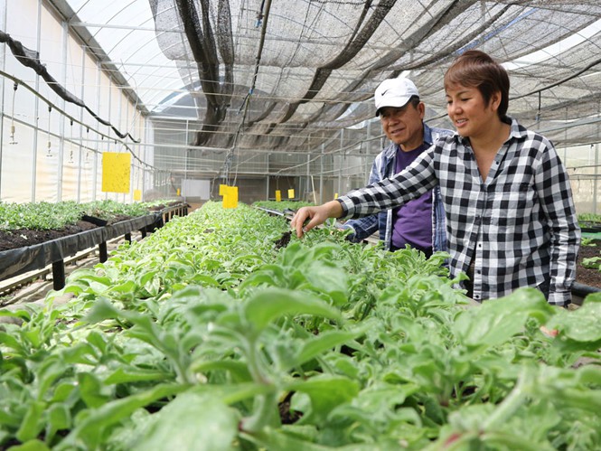 Nông dân ngoại ở Đà Lạt