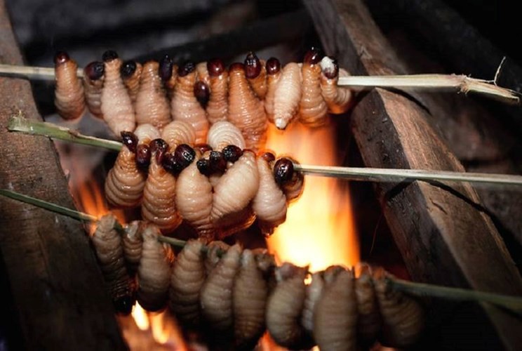 6 đặc sản miền Tây nhìn sợ chết khiếp nhưng tuyệt ngon - Ảnh 10.