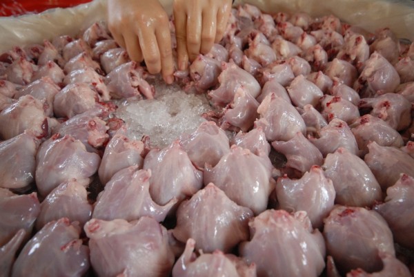 6 đặc sản miền Tây nhìn sợ chết khiếp nhưng tuyệt ngon - Ảnh 14.