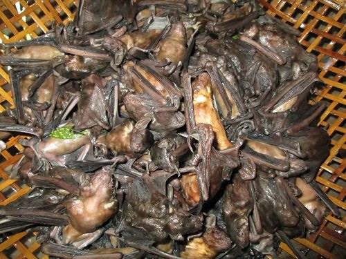 6 đặc sản miền Tây nhìn sợ chết khiếp nhưng tuyệt ngon - Ảnh 2.