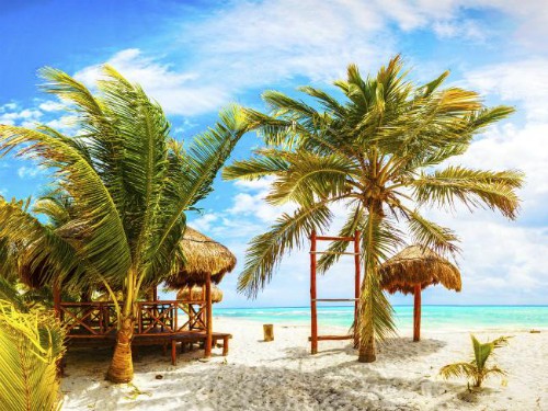 Đ&ecirc;m kinh ho&agrave;ng trong khu nghỉ dưỡng của hai mẹ con du kh&aacute;ch - Ảnh 2.