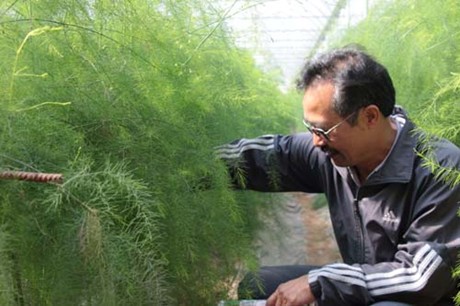 Nhà nông thời nông nghiệp công nghệ cao
