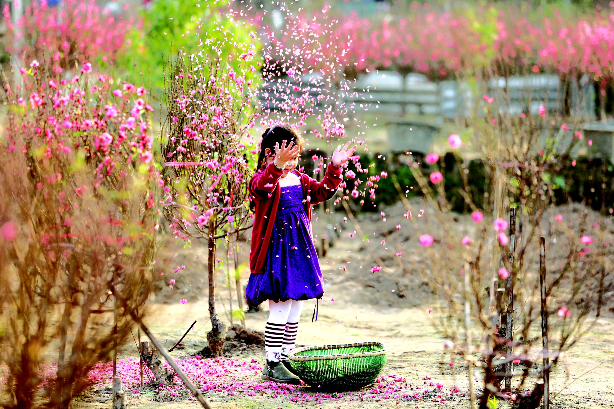 Sống chết với Đào