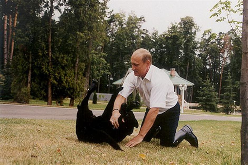 Ch&oacute; cưng của Tổng thống Putin - Ảnh 1.
