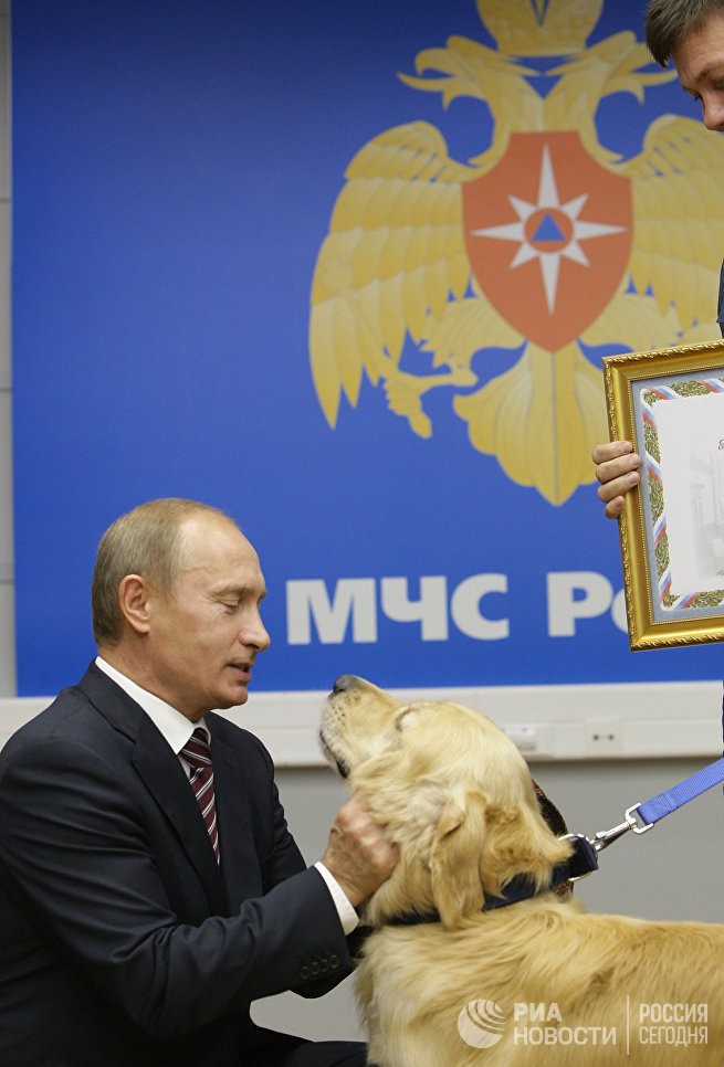 Ch&oacute; cưng của Tổng thống Putin - Ảnh 10.
