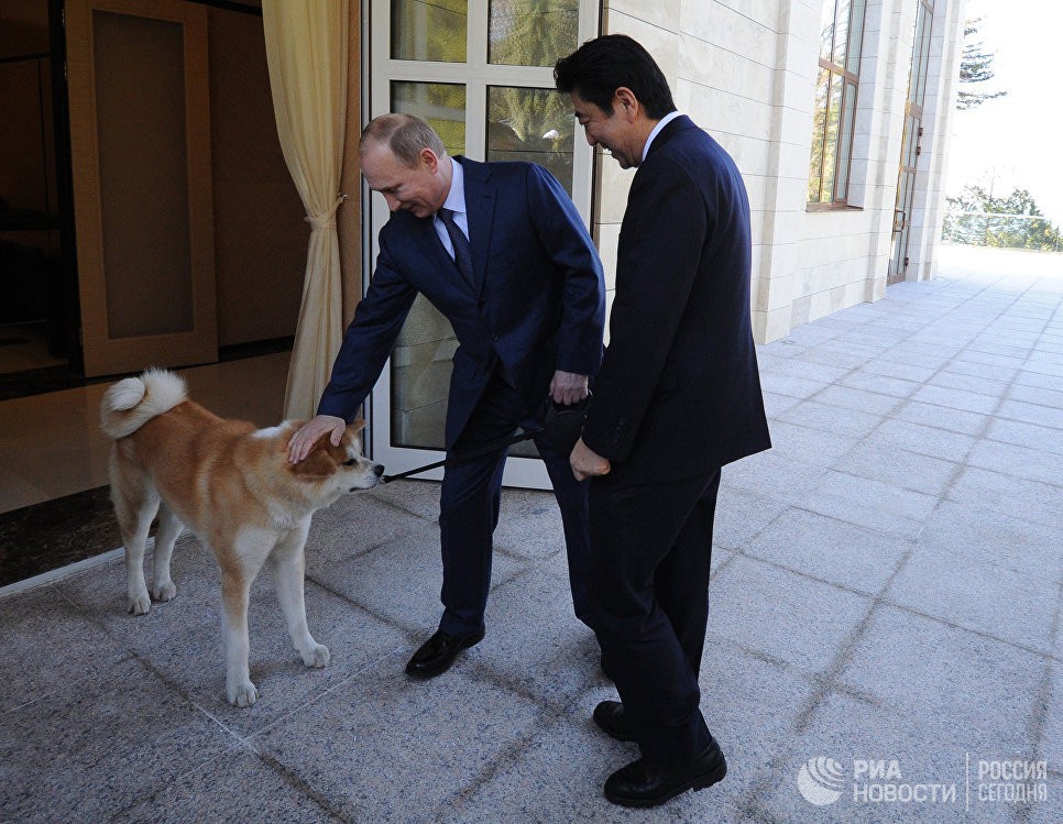 Ch&oacute; cưng của Tổng thống Putin - Ảnh 4.