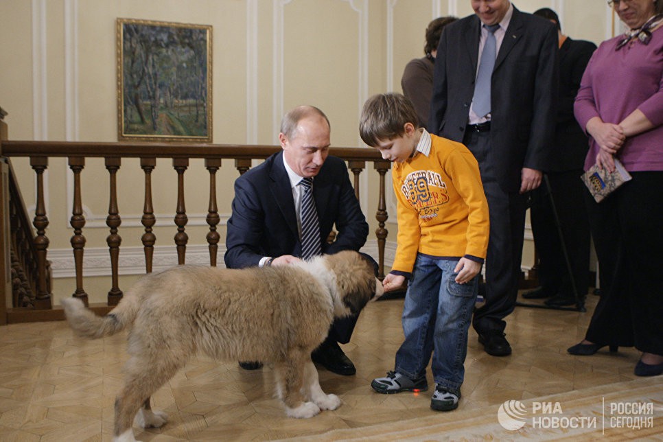 Ch&oacute; cưng của Tổng thống Putin - Ảnh 5.
