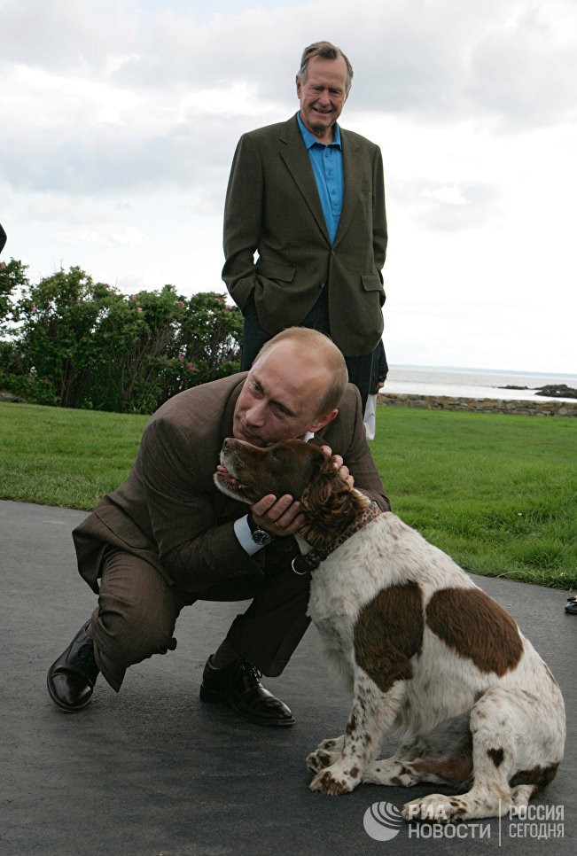 Ch&oacute; cưng của Tổng thống Putin - Ảnh 7.