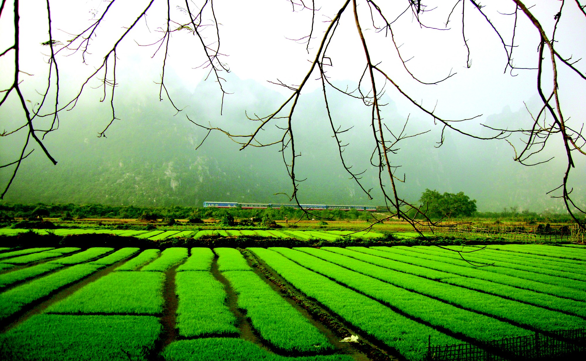 Tết quê, Tết phố