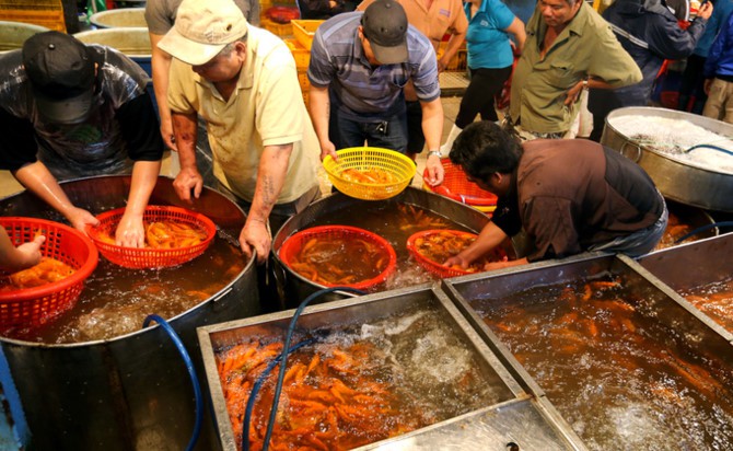 Nhộn nhịp mua cá chép lúc nửa đêm ở chợ lớn nhất Sài Gòn