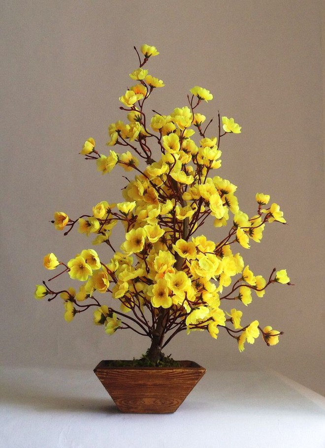  15 chậu bonsai mini si&ecirc;u đẹp trang tr&iacute; nh&agrave; dịp Tết  - Ảnh 4.