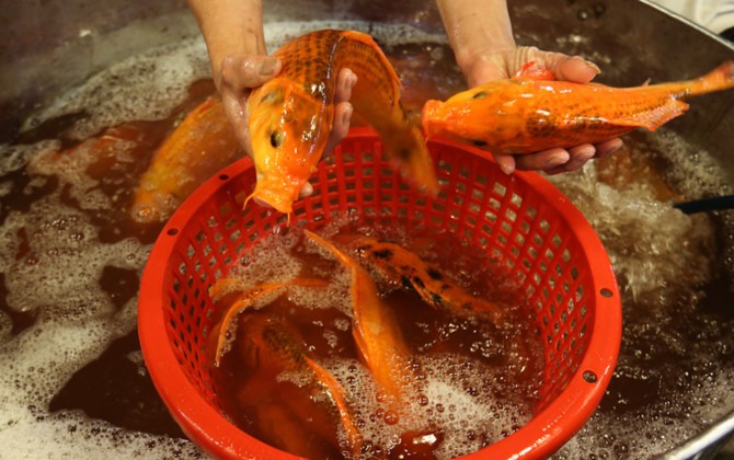 Nhộn nhịp mua c&aacute; ch&eacute;p l&uacute;c nửa đ&ecirc;m ở chợ lớn nhất S&agrave;i G&ograve;n - Ảnh 5.