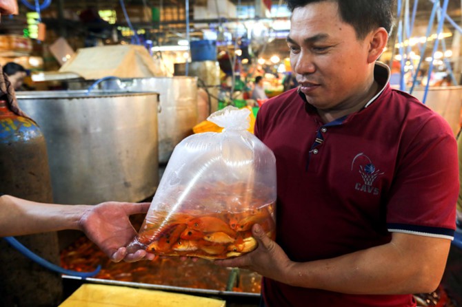 Nhộn nhịp mua c&aacute; ch&eacute;p l&uacute;c nửa đ&ecirc;m ở chợ lớn nhất S&agrave;i G&ograve;n - Ảnh 6.