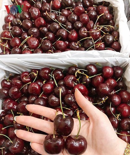 Loạn gi&aacute; cherry nhập ngoại ng&agrave;y cận Tết - Ảnh 10.