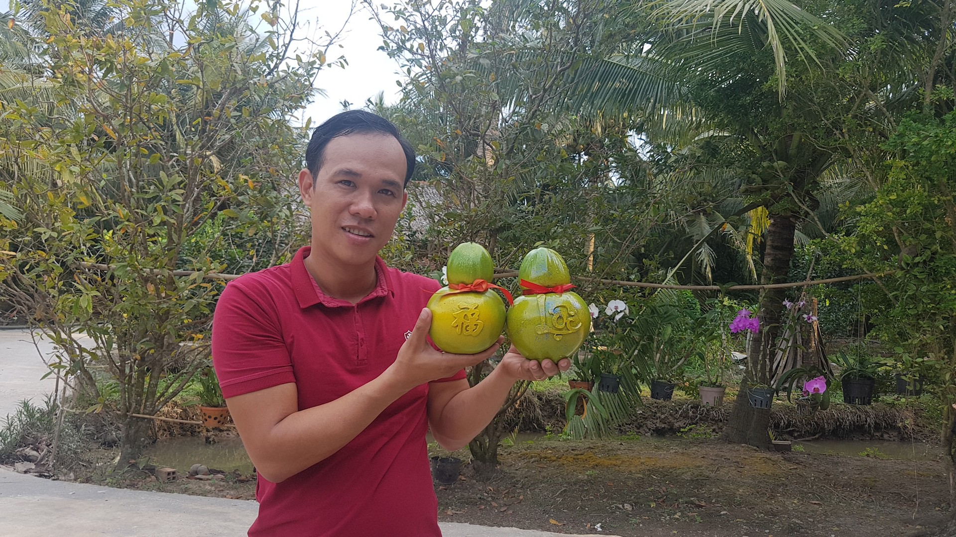 N&acirc;ng niu đặc sản Tết: N&acirc;ng cấp tr&aacute;i c&acirc;y miệt vườn - Ảnh 2.