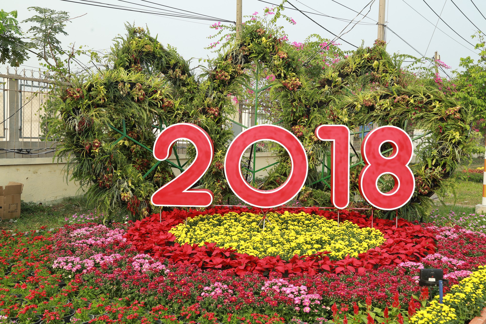 Hội Hoa xuân sớm nhất ở TP HCM đã khai mạc