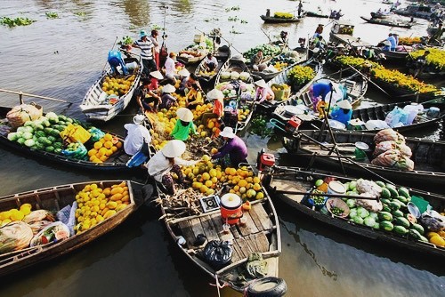 Lịch trình lênh đênh suốt 2 ngày Tết ở vùng sông nước Tiền Giang