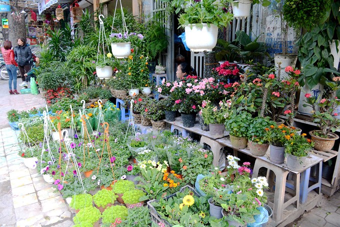 4 phi&ecirc;n chợ ng&agrave;y Tết kh&ocirc;ng n&ecirc;n bỏ lỡ tại H&agrave; Nội - Ảnh 4.