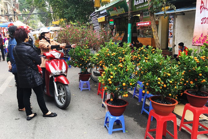 4 phi&ecirc;n chợ ng&agrave;y Tết kh&ocirc;ng n&ecirc;n bỏ lỡ tại H&agrave; Nội - Ảnh 7.