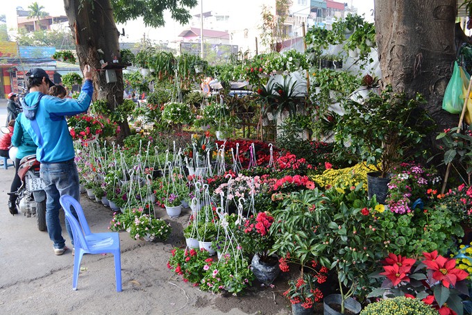 4 phi&ecirc;n chợ ng&agrave;y Tết kh&ocirc;ng n&ecirc;n bỏ lỡ tại H&agrave; Nội - Ảnh 5.