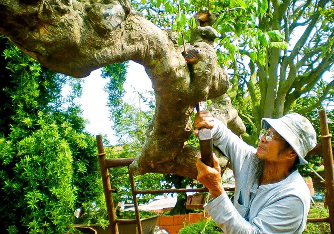 Hái ra tiền với nghề làm đẹp kiểng