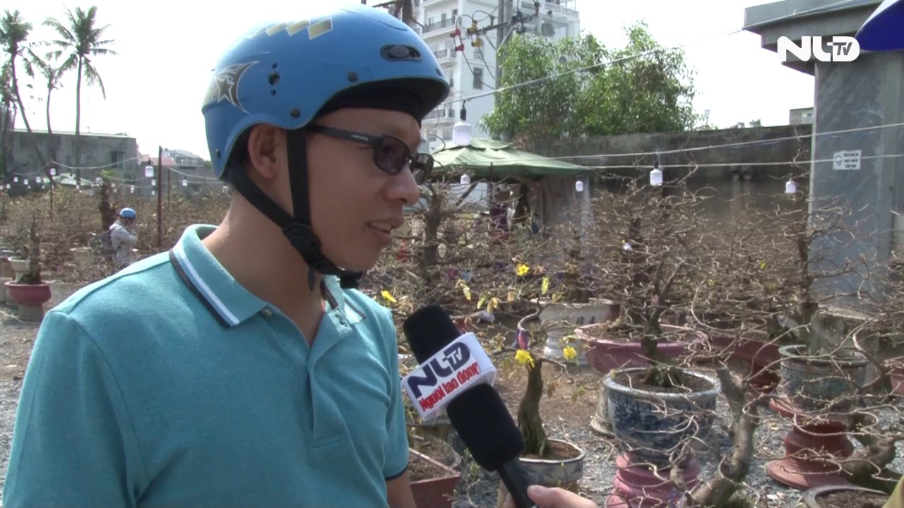 Sôi động thị trường cho thuê mai chưng Tết
